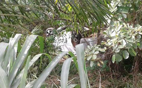 Acidente mata um e fere quatro na zona rural de Sete Lagoas