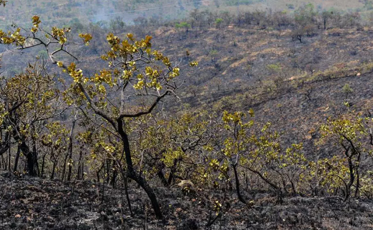 Após 10 dias de combate ao incêndio na Serra do Cipó, bombeiros conseguem controlar o fogo