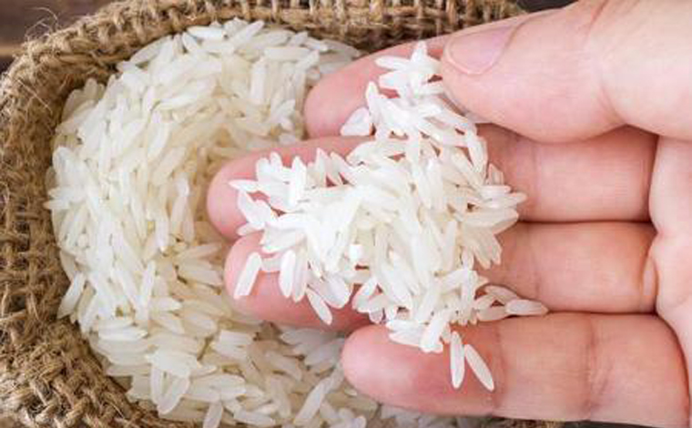 Bolsonaro diz que preço do arroz deve cair em breve com importação feita pelo governo