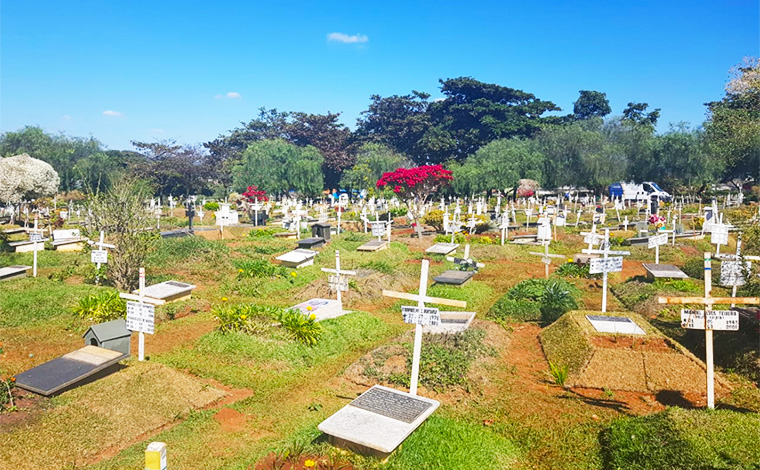 Dia de Finados na pandemia: por que mesmo no isolamento é importante homenagear quem se foi