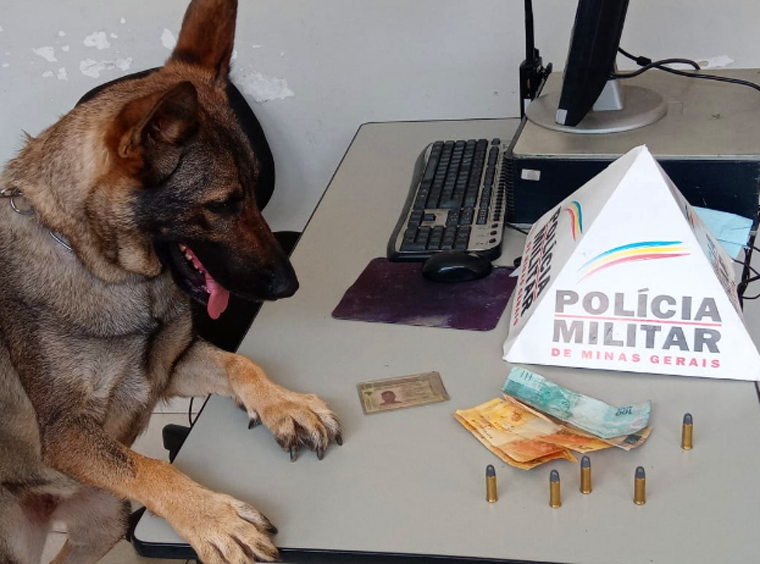 Foto: DivulgaÃ§Ã£o/PMMG - Os militares encontraram o portÃ£o aberto e uma motocicleta que havia sido furtada em Belo Horizonte, alÃ©m de quatro placas de motos roubadas, 05 muniÃ§Ãµes de calibre .38, R$ 210,00 em dinheiro 