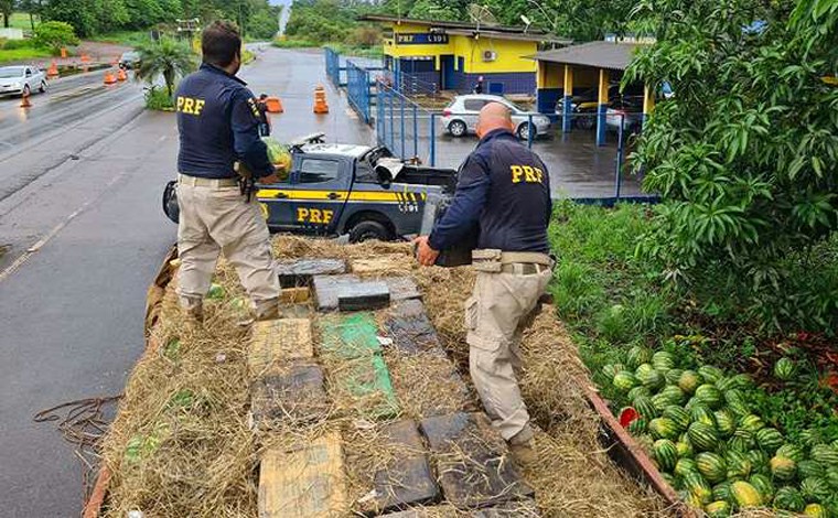 Cerca de 4 toneladas de maconha são encontrados em meio a carga de melancias na BR-365