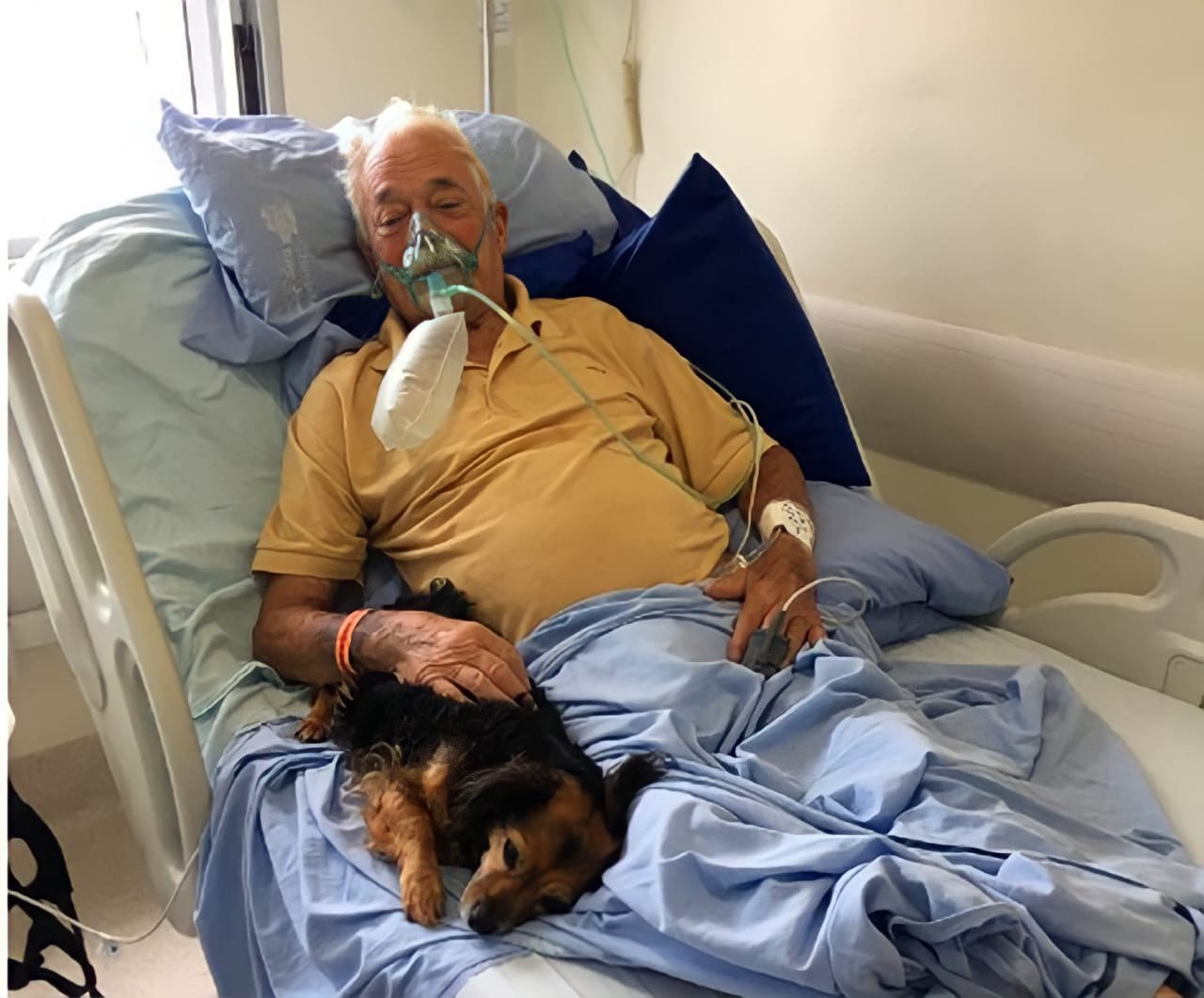 Idoso de 92 anos com Covid-19 recebe visita de cachorrinha no hospital antes de morrer