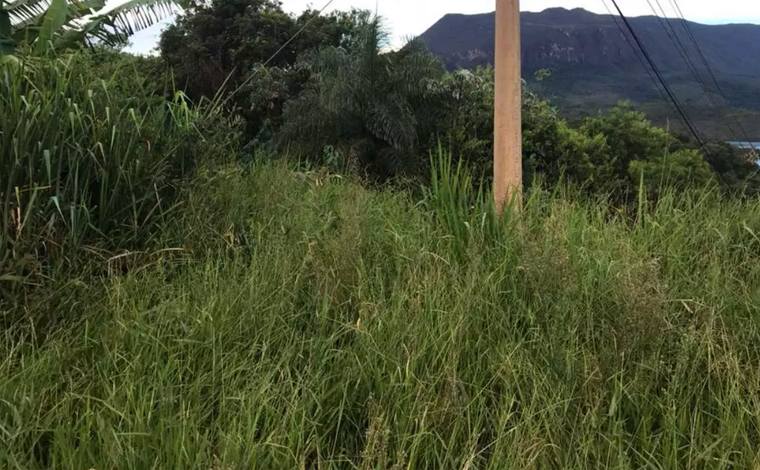 Mulher é morta a pauladas e seu corpo é encontrado em avançado estado de decomposição na MG-030