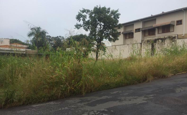 Proprietários de lotes em Sete Lagoas serão notificados para que limpem terreno em até dez dias