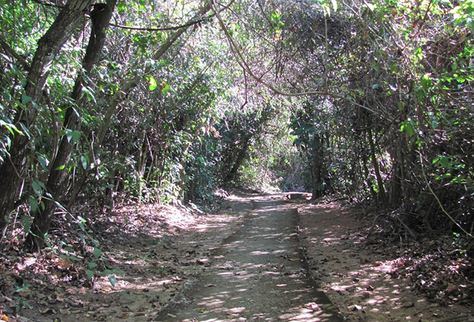 Câmara promove Audiência Pública para debater criação de parque ecológico 