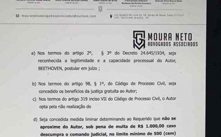 Cão que assinou primeira petição no Brasil contra agressor consegue medida protetiva