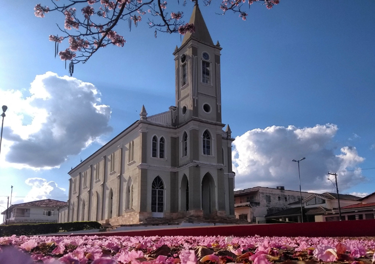 Covid-19: 30 municípios de Minas Gerais ainda não registraram mortes pela doença; saiba quais são