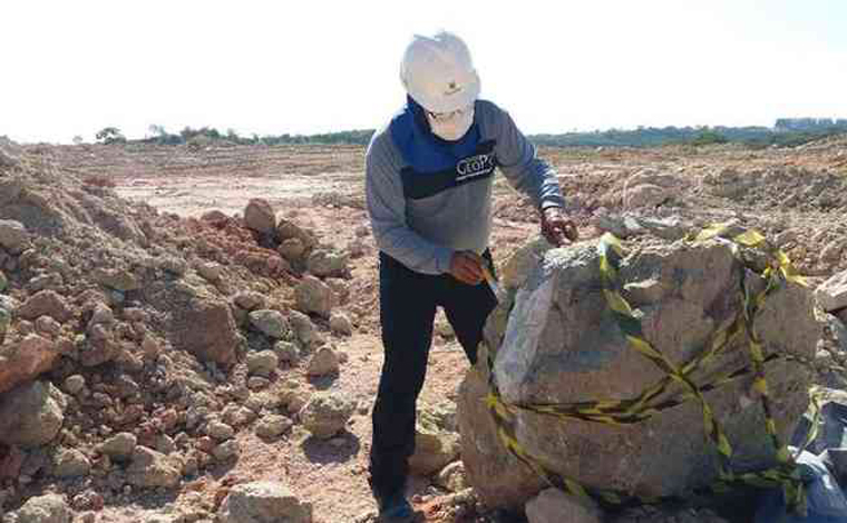 Foto: DivulgaÃ§Ã£o/UFTM - Dentro da rocha continha fÃ³sseis de dinossauro datados entre 66 e 70 milhÃµes de anos atrÃ¡s. O material foi descoberto por uma empresa de mineraÃ§Ã£o de calcÃ¡rio que opera no local