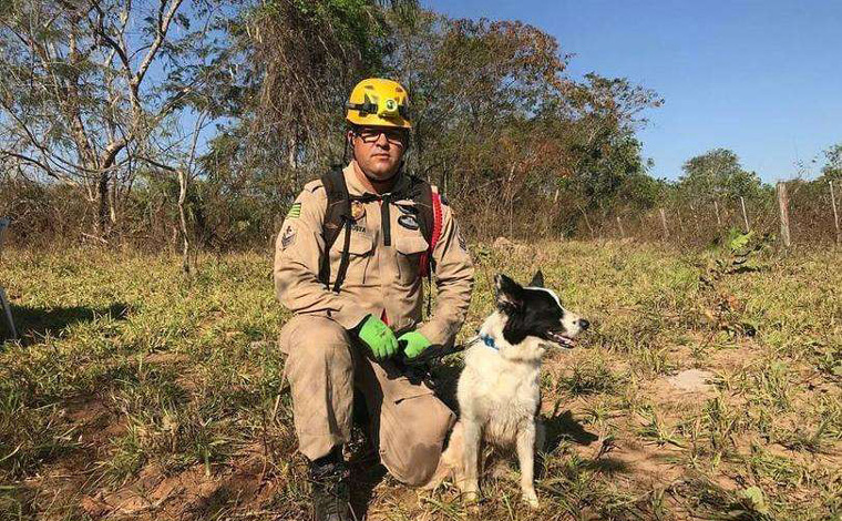 Serial killer do DF: cadela que atuou em Brumadinho ajuda nas buscas por Lázaro