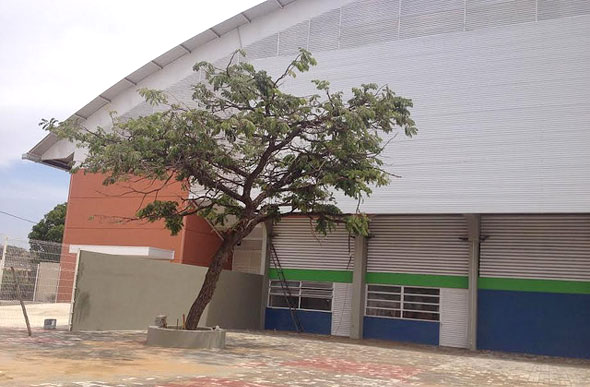 imagem