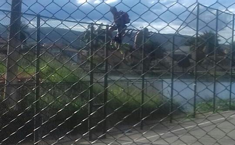 imagem